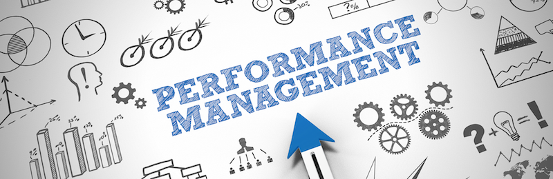 Portfolio Performance Management | portfolio performance management plan | Portfolio Management | Project Management Blog