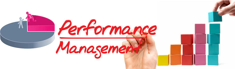 Portfolio Performance Management | portfolio performance management plan | Portfolio Management | Project Management Blog