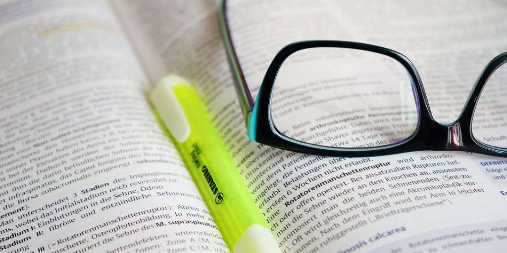 What It Means to be a Project Auditor?